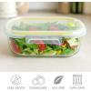 image:imageNeoflam 2 Compartment Glass Food Container with Airtight Lid  Divided Oval Bento Lunch Box with Vent Reusable Meal Prep Storage Microwave Oven amp Dishwasher Safe 37 oz 11 Liter 46 cups39oz